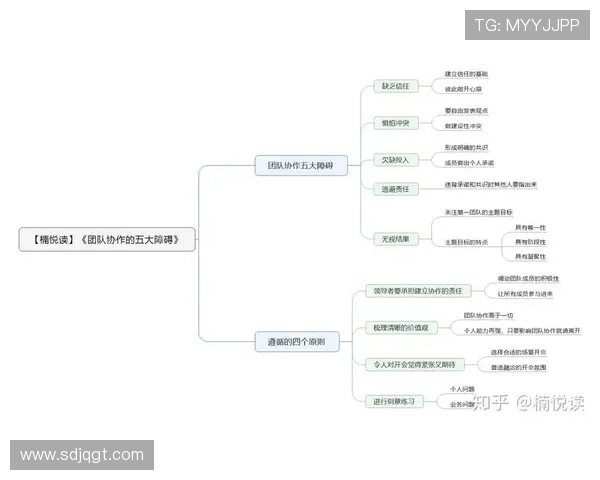 武汉篮球队选拔赛表现分析:意识与团队协作的关键因素探讨 武汉篮球队选拔赛表现分析:意识与团队协作的关键因素探讨