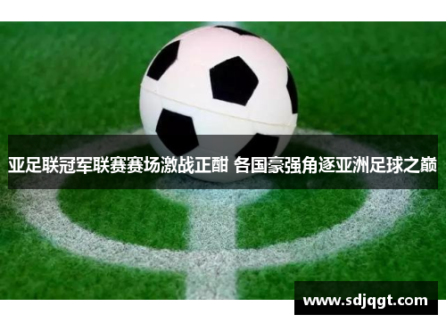 亚足联冠军联赛赛场激战正酣 各国豪强角逐亚洲足球之巅